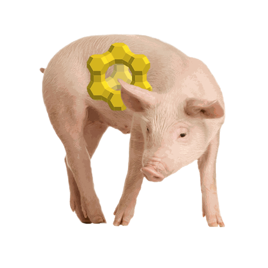 Clinofix AD pigs
