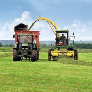 Bonsilage